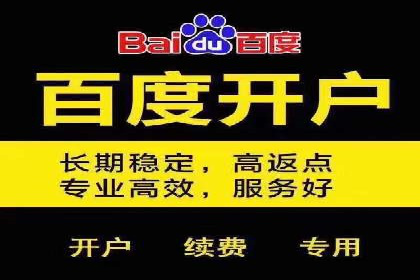 百度竞价托管运营助力电商转化案例